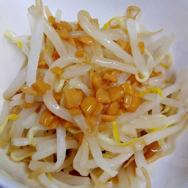 孫が大好き!! 納豆ドレッシングで「もやしサラダ」